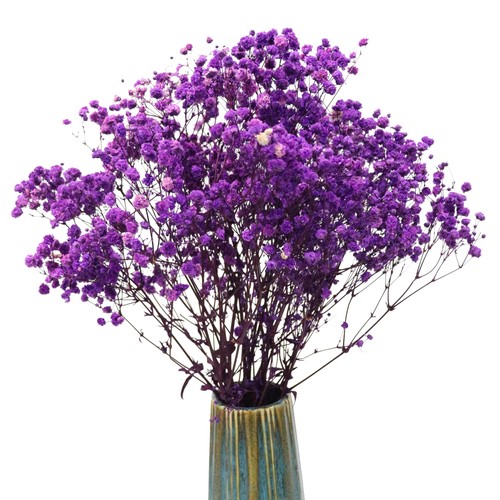 Tooget purple dried - tooget,