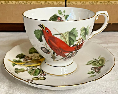 Vtg royal tuscan audubon birds - vtg,