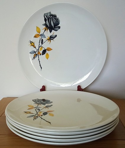 Set vintage retro palissy - set, 6