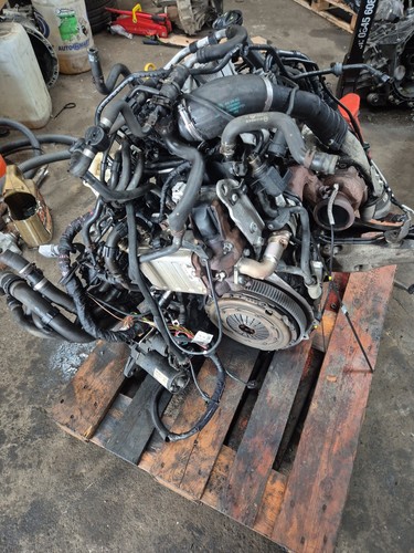 Engine for transporter t6 - for,