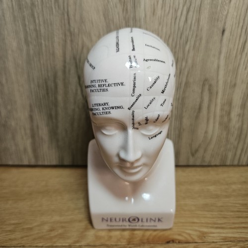 Phrenology head efexor - head,