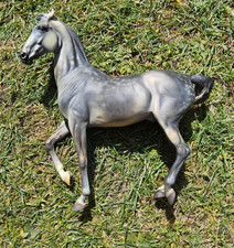 Breyer Marwari CM custom to