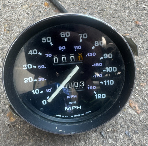 Beach buggy speedo - buggy,
