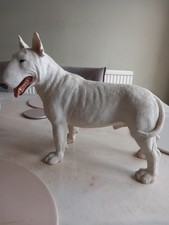 Large English Bull Terrier