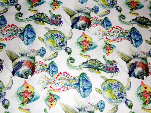 Tropical fish sea horse - fish,