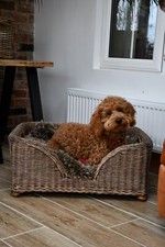 Medium Charles wicker dog bed