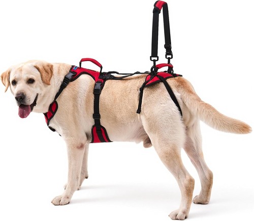 Dog lift harness full body - lift,