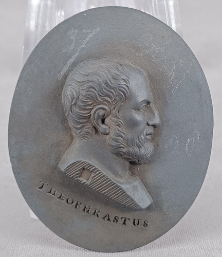 Wedgwood theophrastus black - theophrastus,