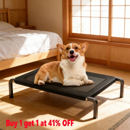 High raised dog - high, bed