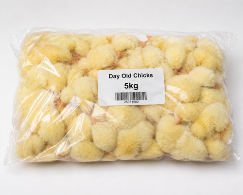 5kg frozen chicks falconry - frozen,