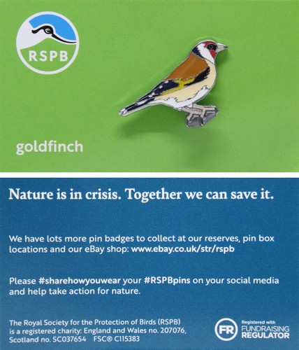 Rspb pin badge niic - pin,