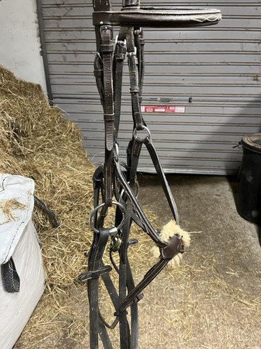 Brown grackle full bridle with - grackle,