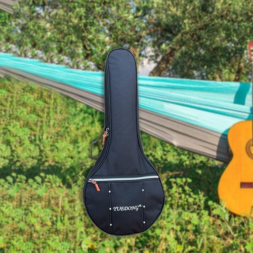 Banjo gig bag - banjo,