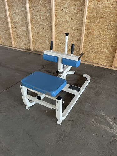 Cybex plate loaded advanced - plate,