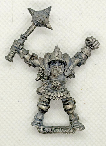 Chaos warrior marauder - warrior,