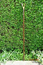 Blackthorn natural thumb stick