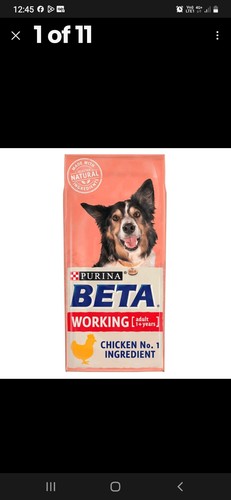 Beta working dog - dog, 14kg