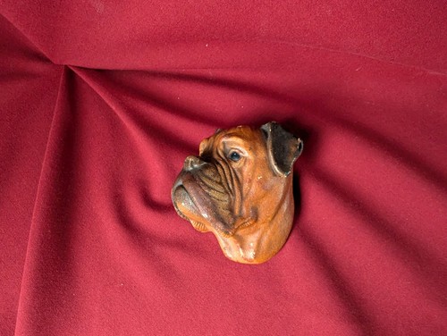 Bossons boxer dog - bossons, head