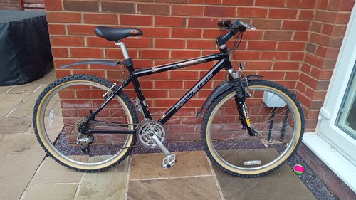 Raleigh cayusa mountain bike - raleigh,