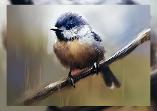 Bold perched bluetit - bold,