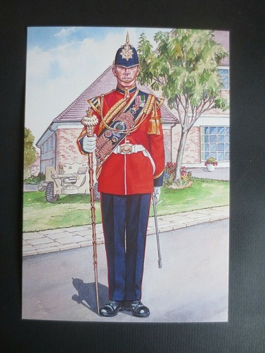 Postcard drum major - postcard,