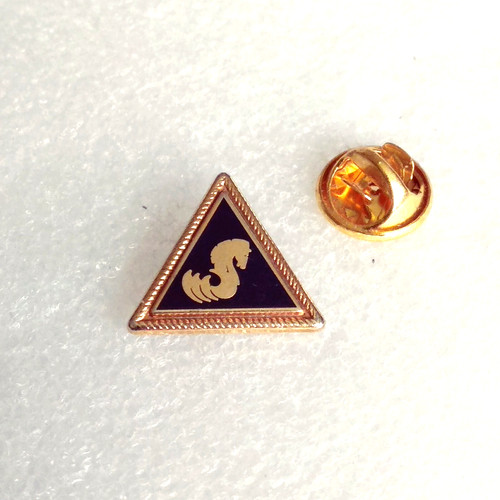 Pin pins lapel - pin's,
