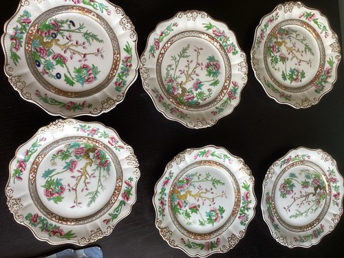 Coalport indian tree set - tree,