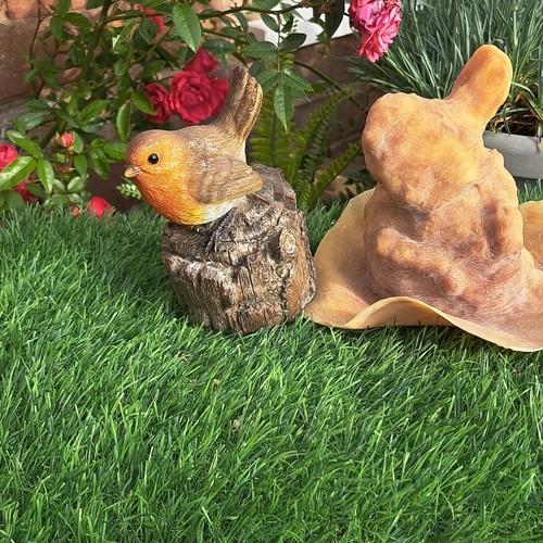 Latex mould robin on a - robin,