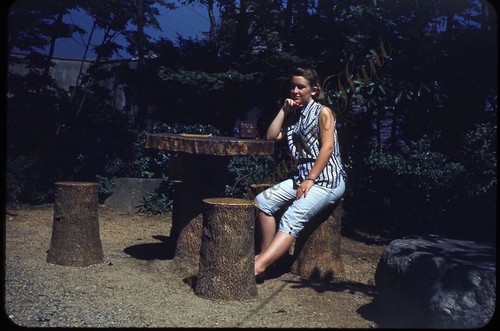Pretty woman tree stump - stump, table