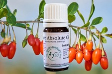 Goji Berry Absolute Oil