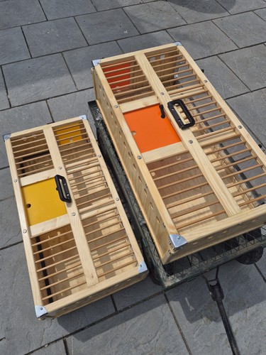 Wooden pigeon racing crate - pigeon,