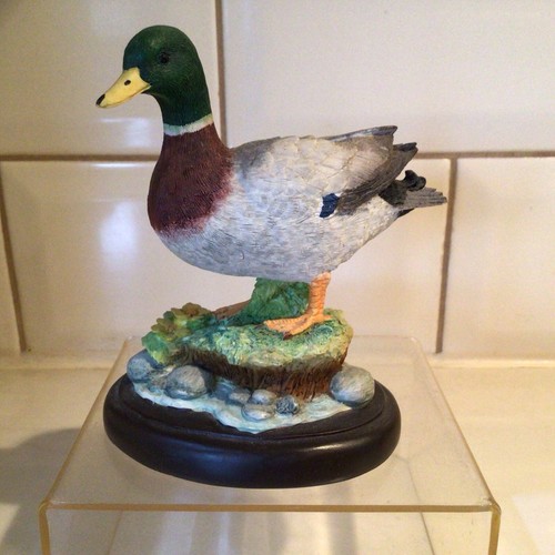 Border fine arts bird - -,