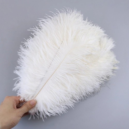 10pcs black ostrich - 10pcs, feathers