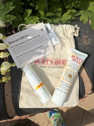 Burt bees skincare gift - bees,