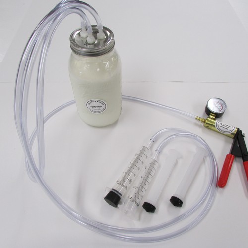 Goat sheep milker hand - goat-sheep,