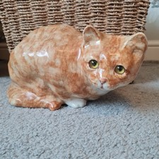 Winstanley Ginger Cat Size 5