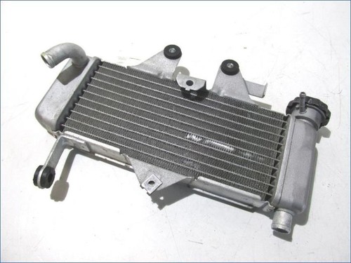 Honda 125 2007 2010 - honda, 2007-2010