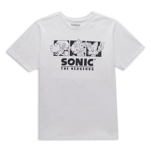 Sonic the hedgehog trio - hedgehog,