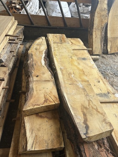 Sawn oak sycamore beech - oak,, beech,