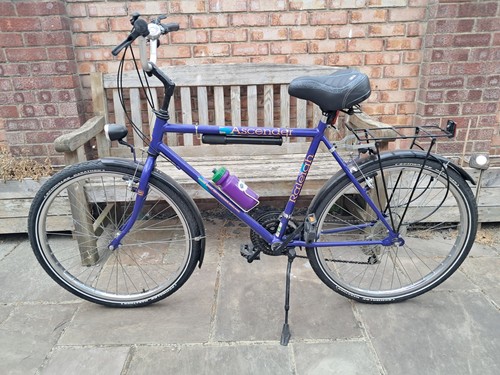 Raleigh ascender purple adult - ascender,
