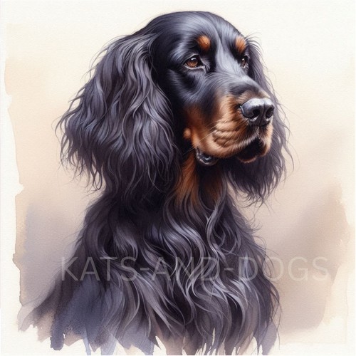 Gordon setter dog watercolour - gordon,