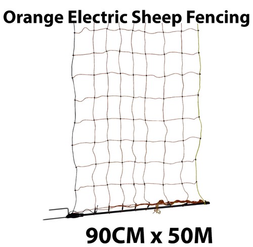 Electric fence sheep - fence,