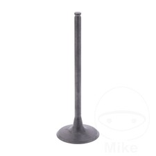 Original Intake Valve Fits