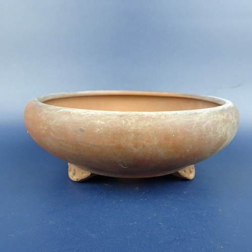 Japanese bonsai pot kosen - bonsai,