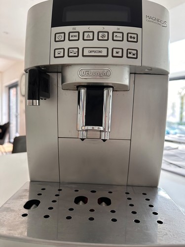 Longhi magnifica s - magnifica,