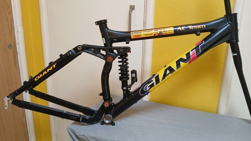 Giant team frame - '05, small