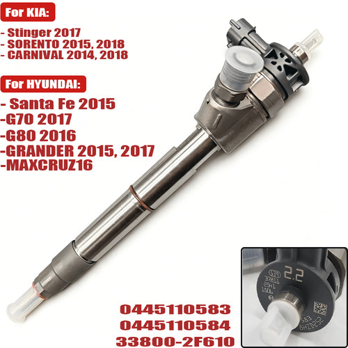 Fuel injector for - fuel,
