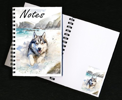 Siberian husky dog - siberian,