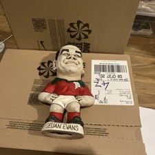 Ieaun Evans No 14 Welsh Rugby