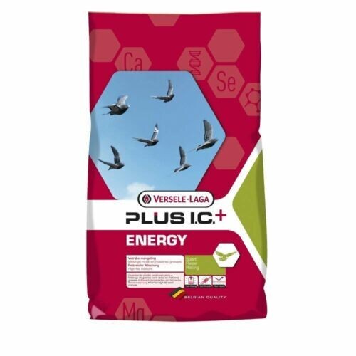 Versele laga energy - versele, plus